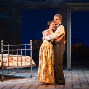 Review: DEATH OF A SALESMAN Opens at Edmonton's Citadel Theatre Interview