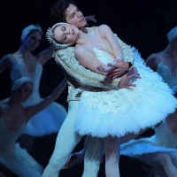 VIDEO: Stream English National Ballet's SWAN LAKE Beginning Today Photo