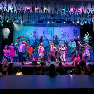 Paper Mill Playhouse Reveals 2026 Rising Star Awards Nominees Photo