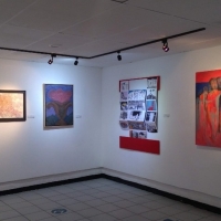 ImagenArte Y Reencuentro, Exposiciones Abiertas Al Público En El Salón De La Plást Video