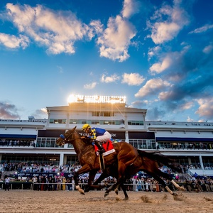 Empire of the Sun and Two Friends to Headline 2026 Pegasus World Cup Photo