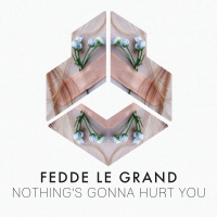 Fedde Le Grand Drops New Hit 'Nothing's Gonna Hurt You' Photo