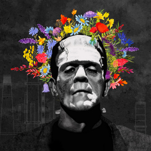 THE YEAR WE DISAPPEARED Comes to 905 Cole Theater Photo