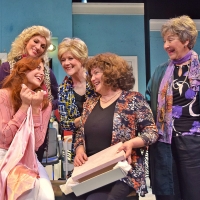 BWW Review: STEEL MAGNOLIAS: Bonds in a Salon at Beef & Boards Photo