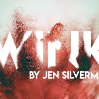 BWW REVIEW:  Twisted Minds Are Unleashed And Facades Fall When A Cat Goes Missing In WINK