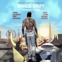 Burna Boy to Headline Hollywood Bowl For the First Time Video