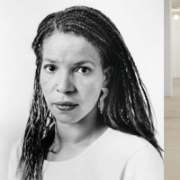 Ntozake Shange Social Justice Theater Residency Established by The Public Theater and Photo