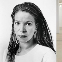 Ntozake Shange Social Justice Theater Residency Established by The Public Theater…
