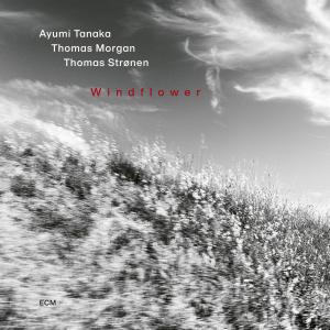WINDFLOWER Trio Album With Ayumi Tanaka to Arrive via ECM Photo