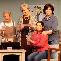 BWW Review: STEEL MAGNOLIAS at The Pocket Community Theatre Photo