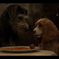 VIDEO:  Watch the First Official Trailer for Disney's Live Action LADY AND THE TRAMP  Video
