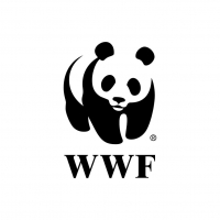 WWF Ambassadors Armin van Buuren and Jessie Jazz Join Forces for #beatplastic Photo