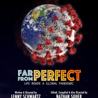 FAR FROM PERFECT Pandemic Film Appears Online Photo