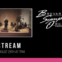 Brevard Symphony Orchestra Presents STREAMING STRINGS Orchestra Performance Photo