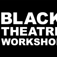 Black Theatre Workshop Announces Dian Marie Bridge as New Artistic Director Photo