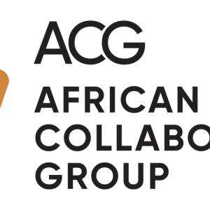 Dr King SMADE Joins African Collaborations Group Advisory Board Photo