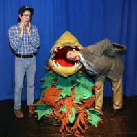 LITTLE SHOP OF HORRORS Comes To Sutter Street Theatre Video