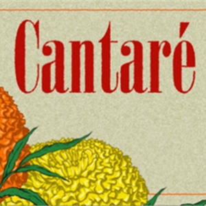 Chicago A Cappella Opens 2025–26 Season With CANTARÉ, A Celebration Of Mexican Music Photo