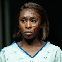 Photos: Apple Releases First Look at Cynthia Erivo, Nicole Kidman & More in ROAR