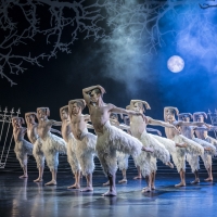 BWW Review: MATTHEW BOURNE'S SWAN LAKE at The Kennedy Center Video