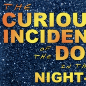 THE CURIOUS INCIDENT OF THE DOG IN THE NIGHT-TIME Begins Next Month at Chance Theater Photo