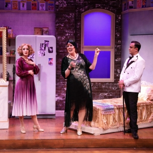 Review: Lyric Stage Company's THE DROWSY CHAPERONE is an Irresistible Delight Video