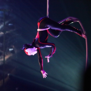 Cirque Du Soleil Returns To State College With OVO Photo