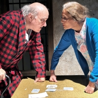 Lakewood Theatre Company Presents THE GIN GAME This Month Photo