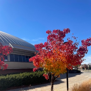 Student Blog: Offstage Growth Photo