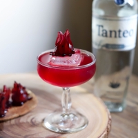 TANTEO TEQUILA and Local NYC Bars Raise Funds for CORE