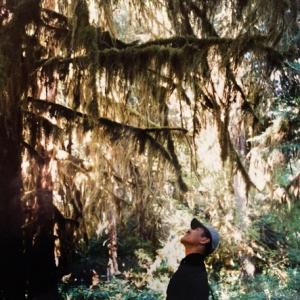 QUIET FOREST Reissue to Mark First Vinyl Release of Hiroshi Yoshimura Album Photo