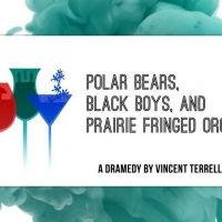 Playfest 2020 to Present POLAR BEARS, BLACK BOYS, AND PRAIRIE FRINGED ORCHIDS  Photo