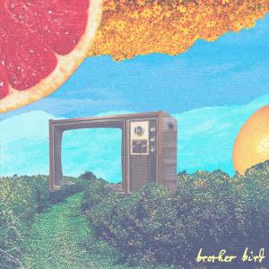 Brother Bird Shares "Landlord" Single, Sets September Tour With Manchester Orchestra Photo