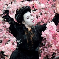 Opera Naples Hosts Exclusive Summer Opera Film Series Featuring MADAMA BUTTERFLY Photo