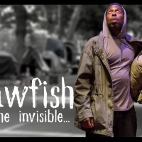 6th Street Playhouse Presents Virtual Workshop Production of CRAWFISH: WE, THE INVISI Photo
