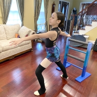 Axelrod Contemporary Ballet Theater Presents Free All Ages Virtual Dance Workshops