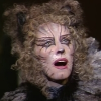 VIDEO: Watch an Original CATS Cast Reunion on STARS IN THE HOUSE- Live at 8pm! Photo