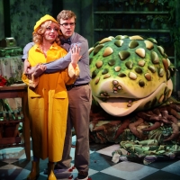 BWW Review: LITTLE SHOP OF HORRORS: This Plant's No Shrinking Violet Photo