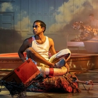 Book London Theatre Week Tickets To LIFE OF PI Photo