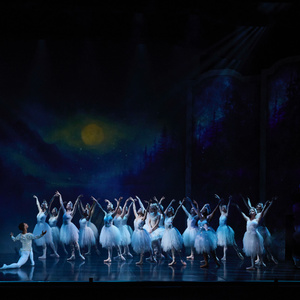 SWAN LAKE Highlights to Come to Stellenbosch With Cape Town City Ballet Photo