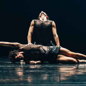 Review: LUMIÈRE at Wrocław Opera Photo