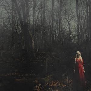 156/SILENCE Releases New Album FROM A DISTANCE Via Pure Noise Records Photo