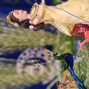 South Indian Tradition Of Golu Returns To West Windsor Arts Photo