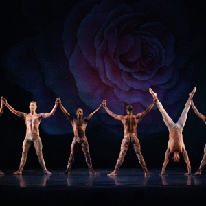 Review: PAUL TAYLOR DANCE COMPANY at Kennedy Center Photo