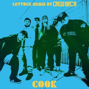 Photos: LETTUCE Collaborates with Producer Drew Birch on Remix of COOK Photo