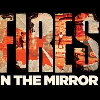 Casting Announced for Signature's FIRES IN THE MIRROR Photo