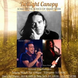 Marcus Simeone & Tracy Stark Will Bring 'Twilight Canopy / Up, Up & Away: Some Of…