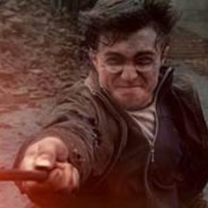 HARRY POTTER AND THE DEATHLY HALLOWS - PART 2 to be Presented With Live Orchestra at  Photo