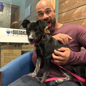 Purple Rose Theatre to Partner With Cascades Humane Society For Adoption Nights Photo