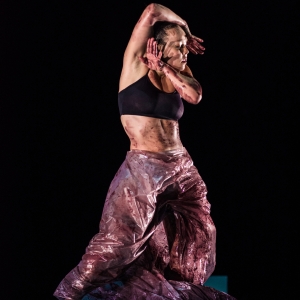DanceHouse Co-Presents Compañía Rocío Molina in the Canadian Premiere Of FALLEN FR Photo
